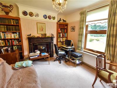 Picture 7